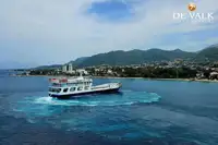 ફેરી જહાજ વેચાણ માટે
