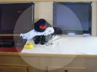 ટ્રોલર વેચાણ માટે