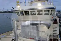 જીવંત માછલીવાળું જહાજ વેચાણ માટે