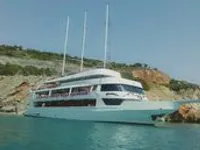 મુસાફર જહાજ વેચાણ માટે
