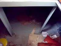 ટોબોટ વેચાણ માટે