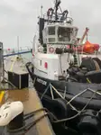 ટોબોટ વેચાણ માટે