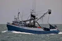 પર્સ સીનર વેચાણ માટે