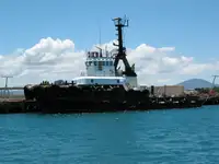 ટોવબોટ વેચાણ માટે
