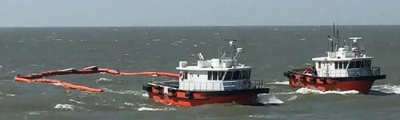 પાયલોટ બોટ વેચાણ માટે