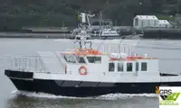 Wind farm service vessel વેચાણ માટે