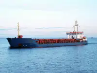 બલ્ક કેરિયર વેચાણ માટે