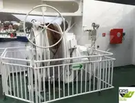 રો-રો જહાજ વેચાણ માટે