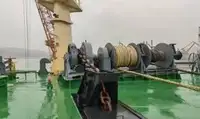 બલ્ક કેરિયર વેચાણ માટે