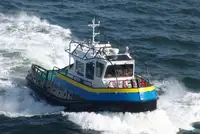 ટોબોટ વેચાણ માટે
