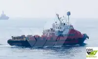 Wind farm service vessel વેચાણ માટે