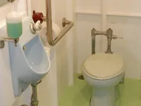 રોપેક્સ જહાજ વેચાણ માટે