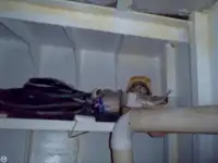 ટોબોટ વેચાણ માટે