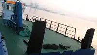 વર્ક બોટ વેચાણ માટે