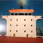બલ્ક કેરિયર વેચાણ માટે