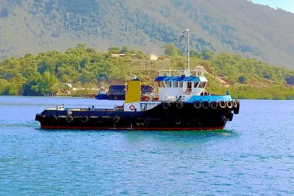 Barge for sale