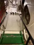 ટોબોટ વેચાણ માટે