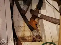 ફેરી જહાજ વેચાણ માટે