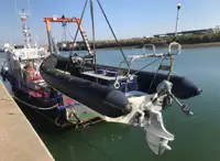 વર્ક બોટ વેચાણ માટે