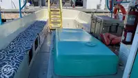 ક્રૂઝ જહાજ વેચાણ માટે