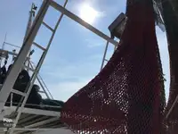 ટ્રોલર વેચાણ માટે