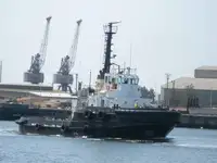 ટોવબોટ વેચાણ માટે