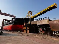 બલ્ક કેરિયર વેચાણ માટે