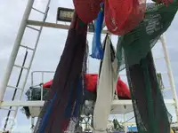 ટ્રોલર વેચાણ માટે