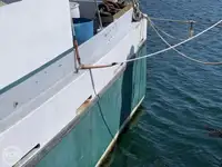 લોંગલાઇનર વેચાણ માટે
