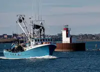 Purse seiner વેચાણ માટે