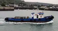 ટોવબોટ વેચાણ માટે