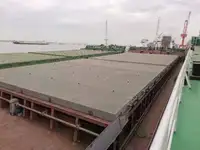બલ્ક કેરિયર વેચાણ માટે
