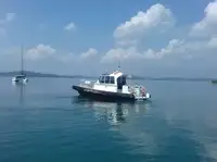 ક્રૂ બોટ વેચાણ માટે