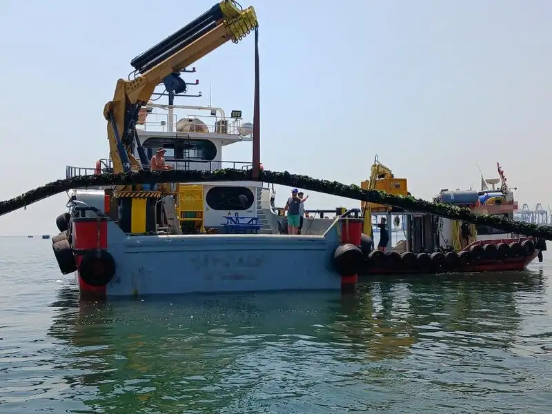 વર્ક બોટ વેચાણ માટે