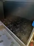 ક્રૂઝ જહાજ વેચાણ માટે