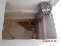 પર્સ સીનર વેચાણ માટે