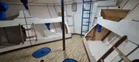 ટોબોટ વેચાણ માટે
