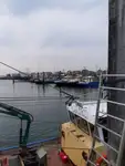 ટ્રોલર વેચાણ માટે