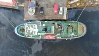 ટોબોટ વેચાણ માટે