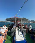સબમરીન વેચાણ માટે