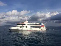 ક્રૂઝ જહાજ વેચાણ માટે