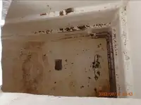 પર્સ સીનર વેચાણ માટે
