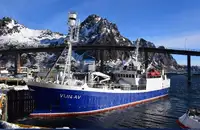 Purse seiner વેચાણ માટે