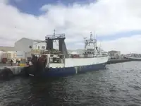ટ્રોલર વેચાણ માટે