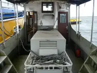 ટોબોટ વેચાણ માટે