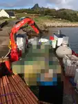 વર્ક બોટ વેચાણ માટે