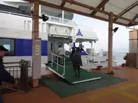 કેટામરાન વેચાણ માટે