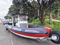 એમ્ફિબિયસ વેચાણ માટે