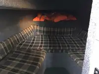 પાયલોટ બોટ વેચાણ માટે