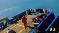 વર્ક બોટ વેચાણ માટે